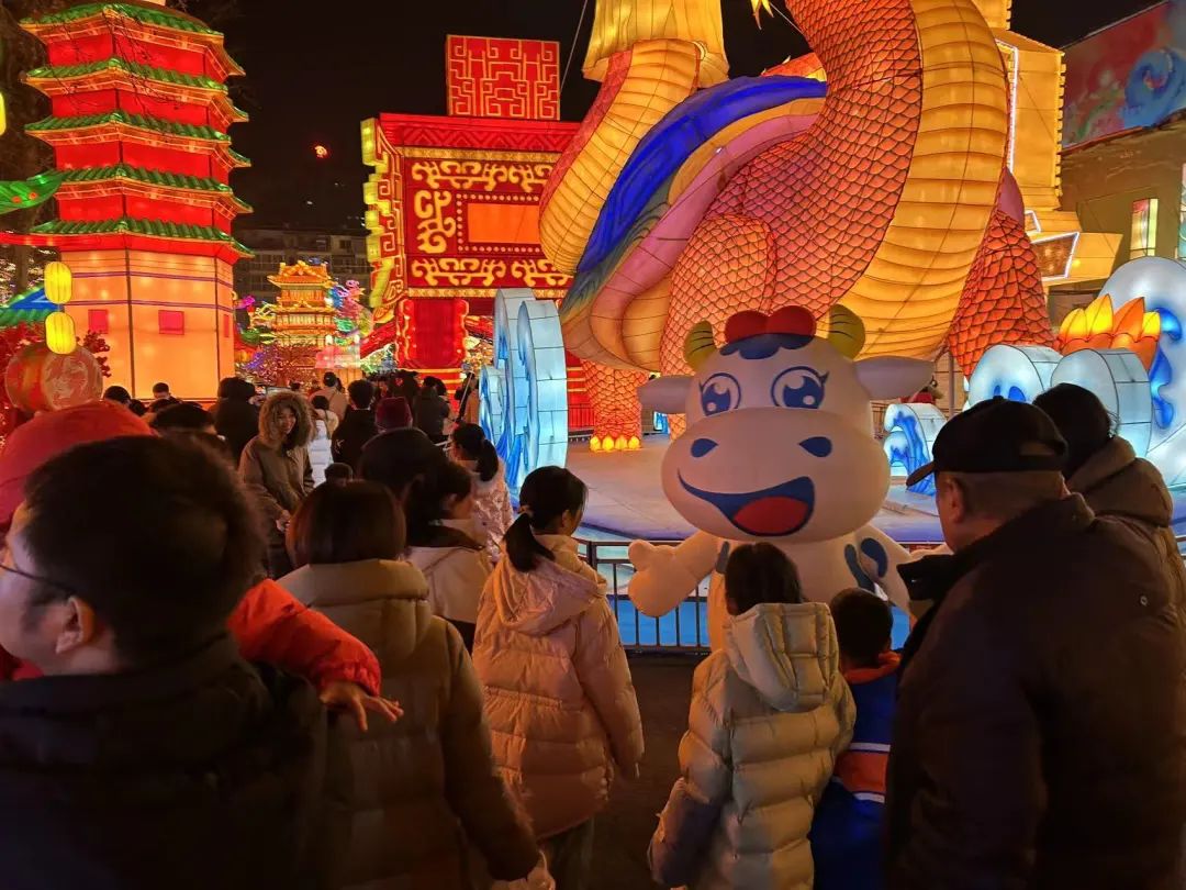 央視直播鄭州龍年燈會迎新春，花花牛品牌上大分