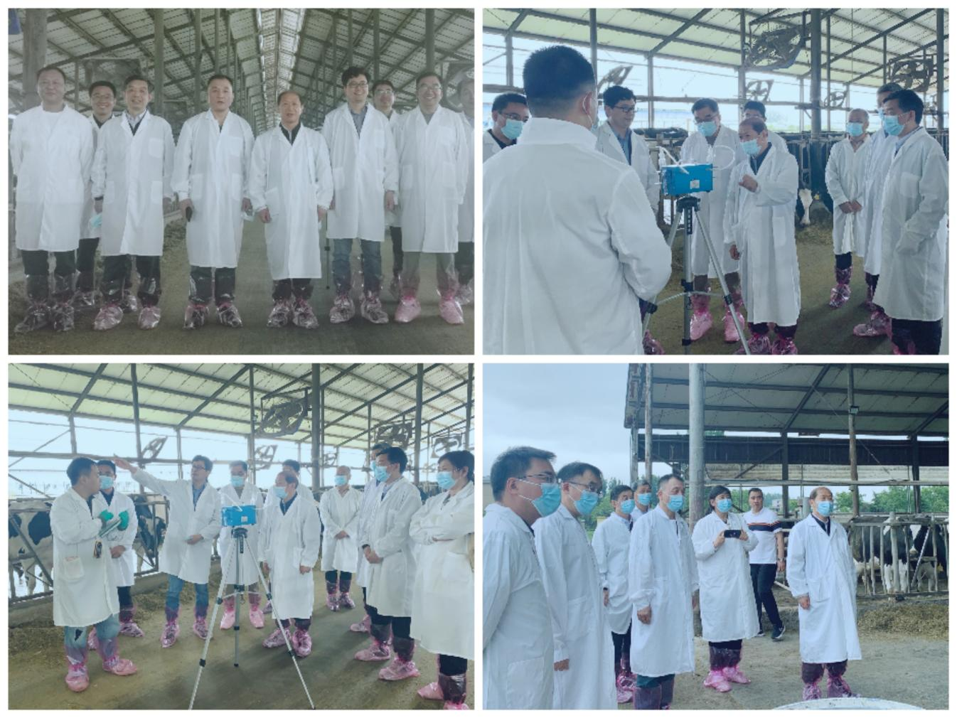 花花牛丨河南農(nóng)業(yè)大學(xué)黨委副書記、校長(zhǎng)介曉磊一行蒞臨花花牛河南瑞亞參觀調(diào)研