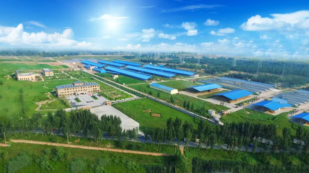 花花牛丨河南農(nóng)業(yè)大學(xué)黨委副書記、校長(zhǎng)介曉磊一行蒞臨花花牛河南瑞亞參觀調(diào)研