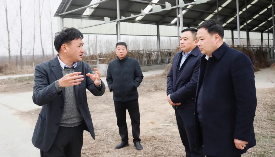 發(fā)揮產(chǎn)業(yè)優(yōu)勢 助力鄉(xiāng)村振興 | 民權(quán)縣委副書記、縣長王靜嫻會見關(guān)曉彥董事長一行