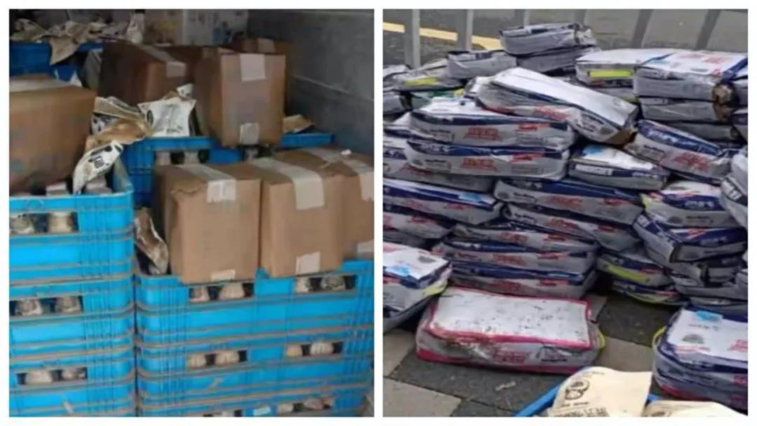 【乳報·聚焦】“豫”難而上的中原牛人“太中了”！