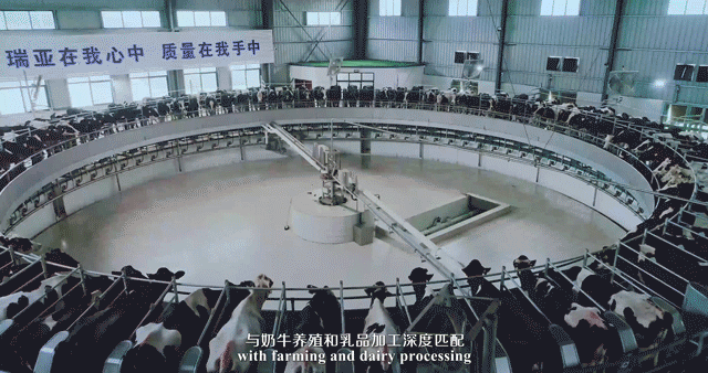 快訊 | 湖北省農(nóng)業(yè)廳副廳長王海濤等領導一行蒞臨河南花花牛乳業(yè)集團參觀調(diào)研 快訊 | 湖北省農(nóng)業(yè)廳副廳長王海濤等領導一行蒞臨河南花花牛乳業(yè)集團參觀調(diào)研