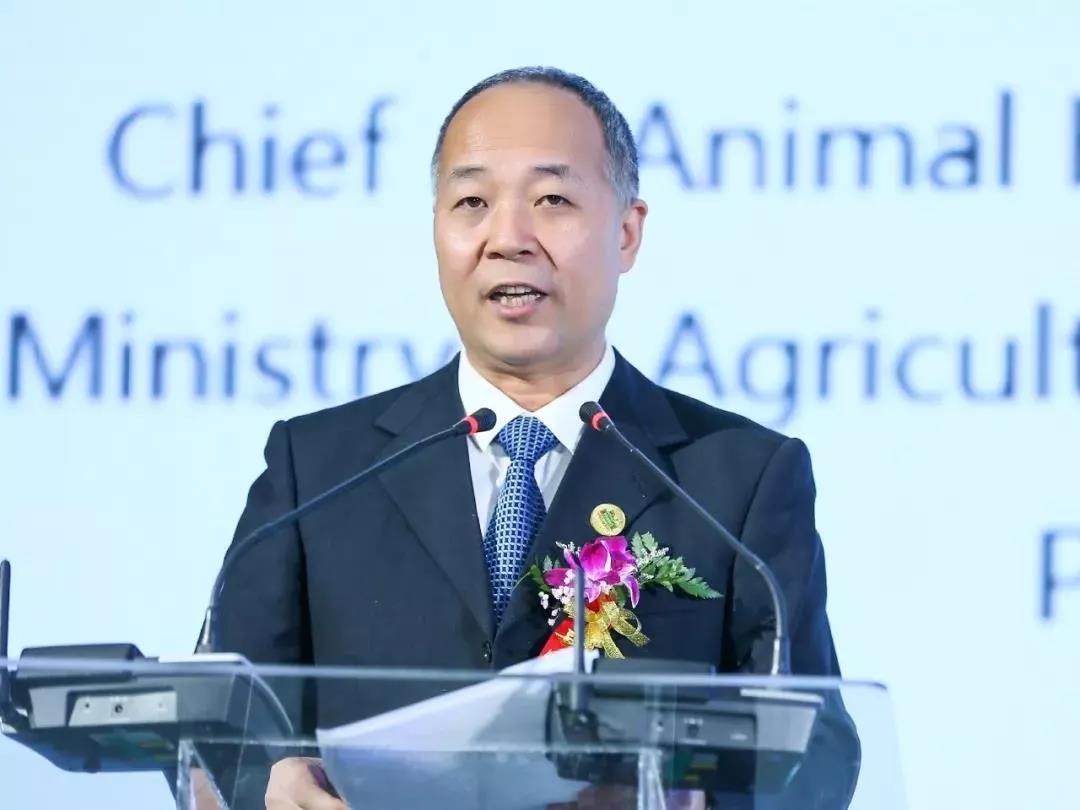 SDDDC走進河南，看看花花牛的國際范兒！