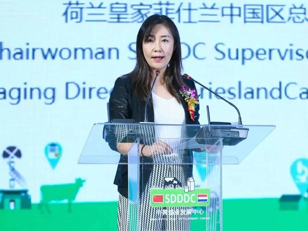 SDDDC走進河南，看看花花牛的國際范兒！