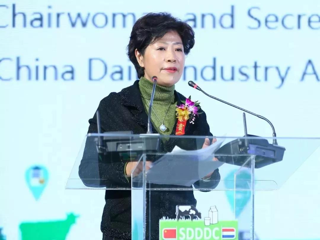 SDDDC走進河南，看看花花牛的國際范兒！