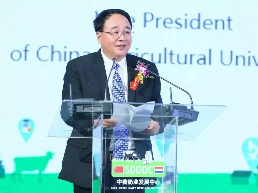 SDDDC走進河南，看看花花牛的國際范兒！