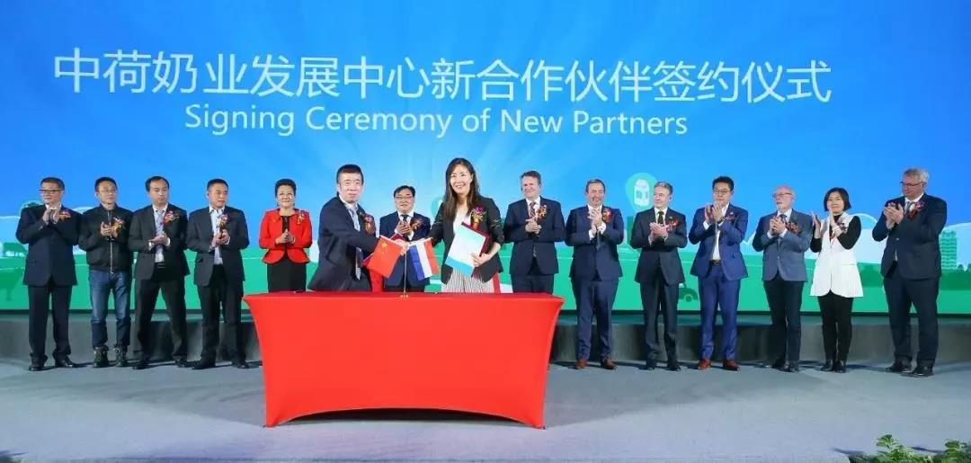 SDDDC走進河南，看看花花牛的國際范兒！