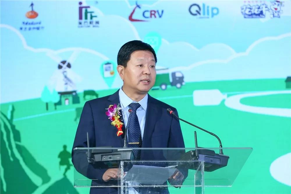 SDDDC走進河南，看看花花牛的國際范兒！