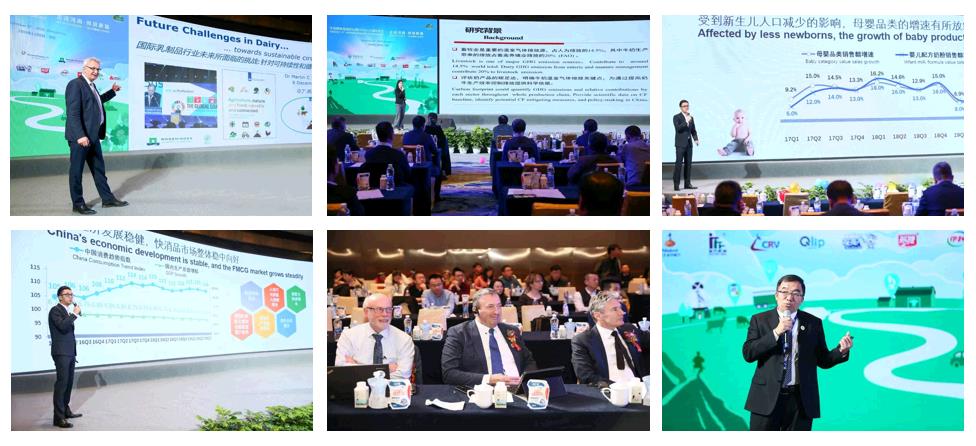 SDDDC走進河南，看看花花牛的國際范兒！