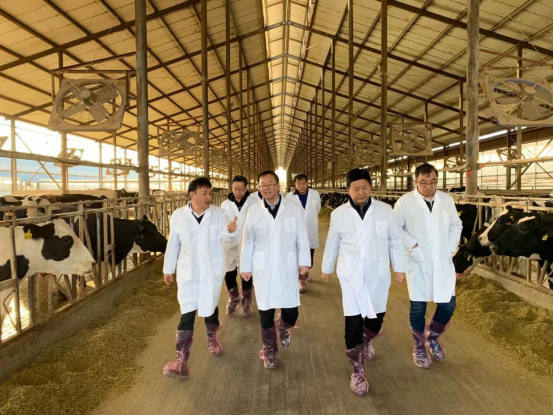 寧夏回族自治區(qū)農業(yè)農村廳黨組書記、廳長王剛一行蒞臨花花牛乳業(yè)集團調研