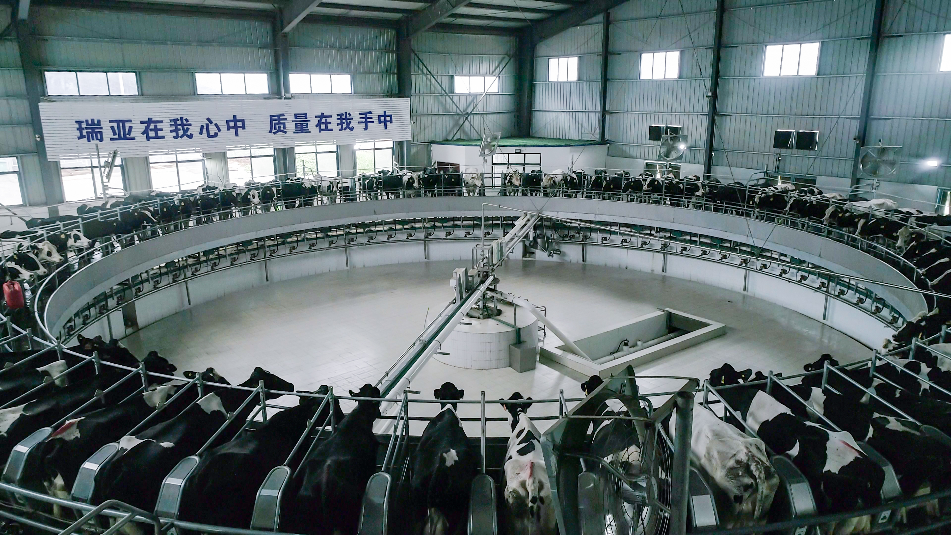 河南省委常委、組織部部長(zhǎng)孔昌生 蒞臨河南花花牛集團(tuán)魯山瑞亞牧業(yè)有限公司調(diào)研