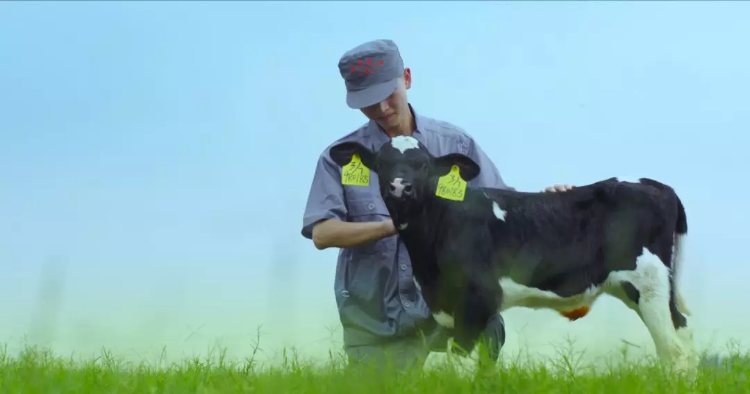 喜報 | 國家市場監(jiān)管總局抽檢，花花牛等112家企業(yè)乳品抽檢全部合格