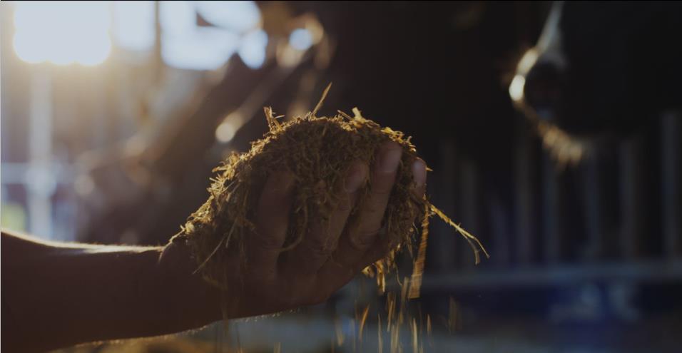 又雙叒叕獲獎啦！花花牛榮獲“乳品質(zhì)量安全管理 優(yōu)秀企業(yè)”