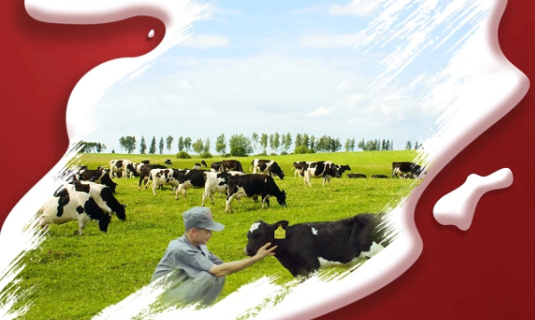 喜報(bào)！花花牛董事長關(guān)曉彥再獲”優(yōu) 秀企業(yè)家”稱號(hào)