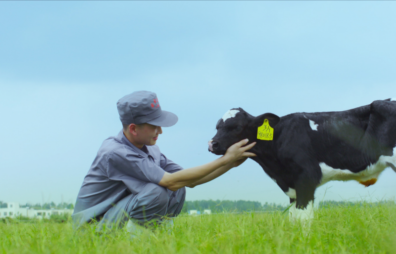 葉縣瑞亞牧業(yè)有限公司 年存欄5000頭奶牛一期存欄3000頭奶牛建設(shè)項目 環(huán)境影響評價公眾參與第二次
